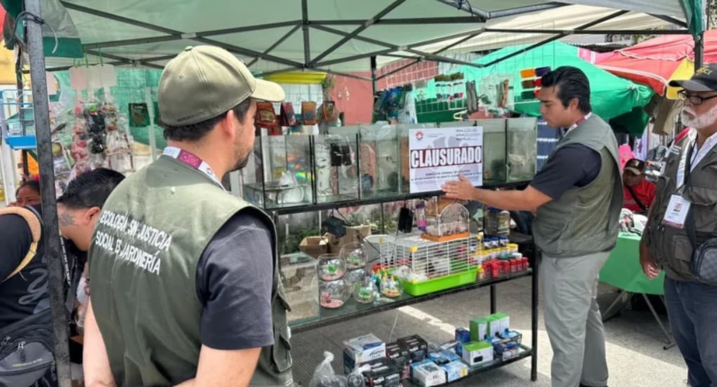Inspectores de la Secretaría de Justicia y Protección Social revizan un local comercial con aviso de clausura durante operativo de verificación de licencias.