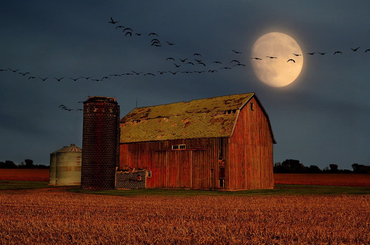 Granja abandonada con silo y granero rojo bajo luna llena con aves volando en el cielo nocturno