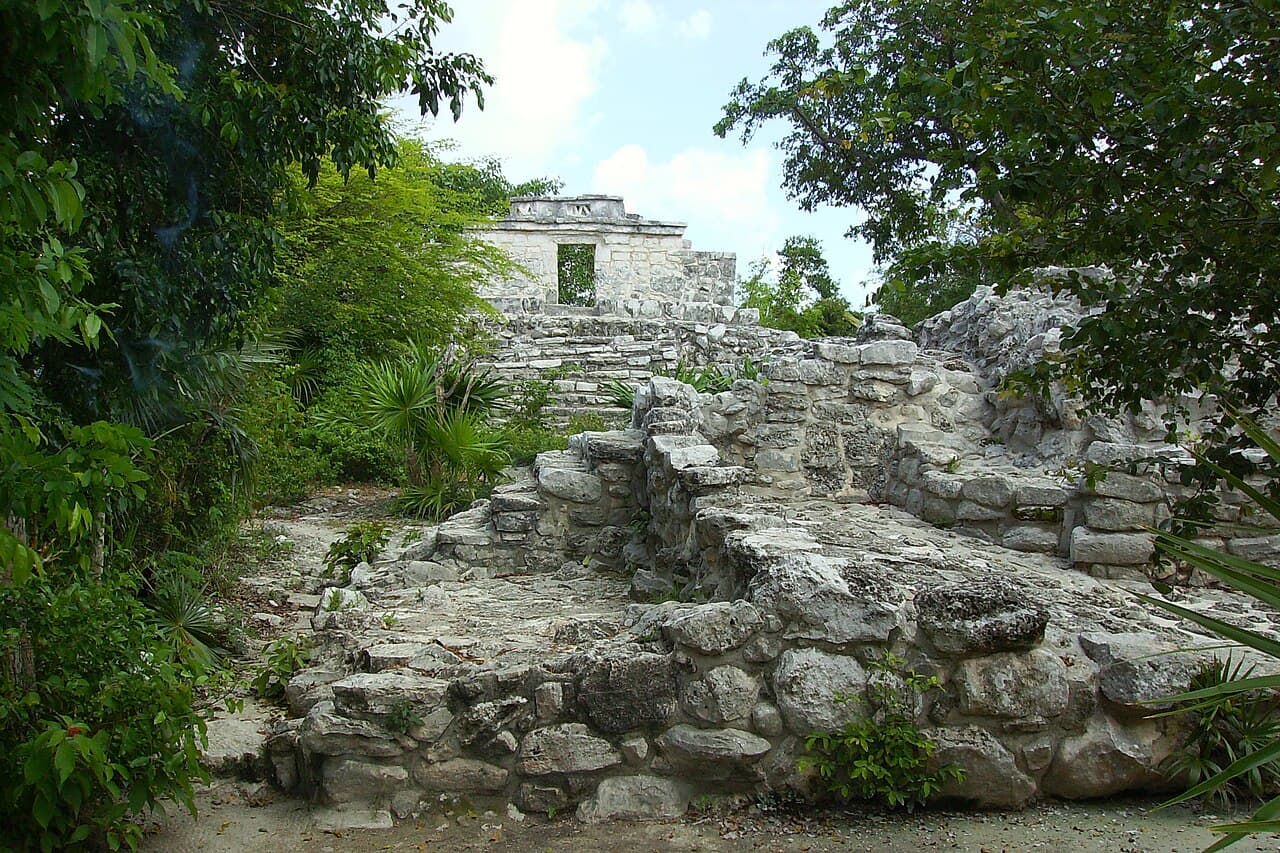 Ruinas mayas de piedra con vegetación selvática y estructura arquitectónica de fondo.