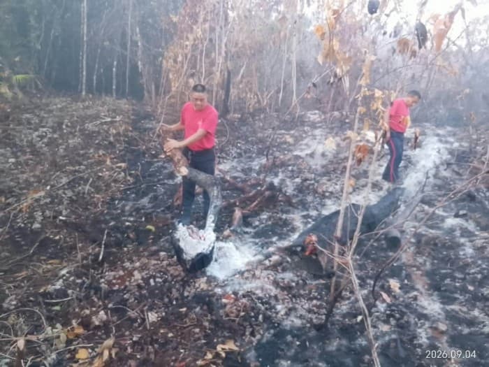 Trabajadores en uniforme rosa combaten un incendio forestal con áreas quemadas y árboles carbonizados al fondo.