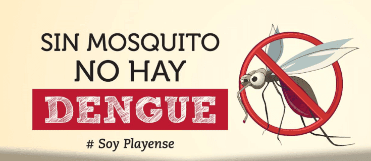 10 medidas para prevenir el dengue.