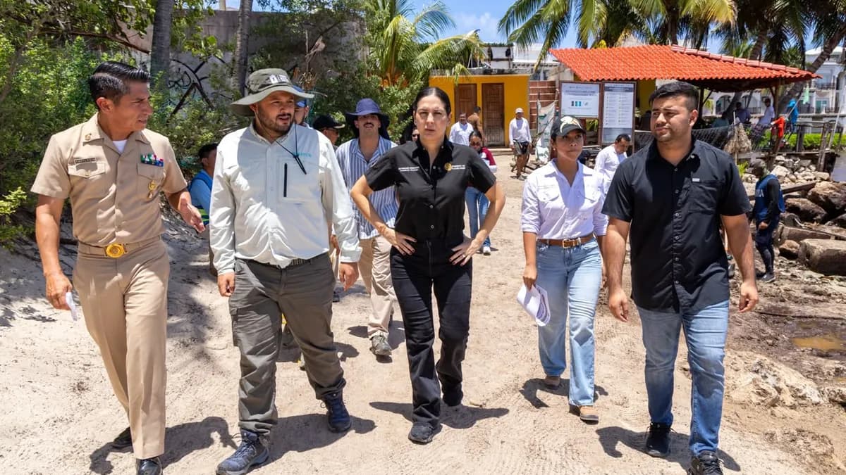 Inicia supervisión de estrategia contra sargazo en Playa del Carmen