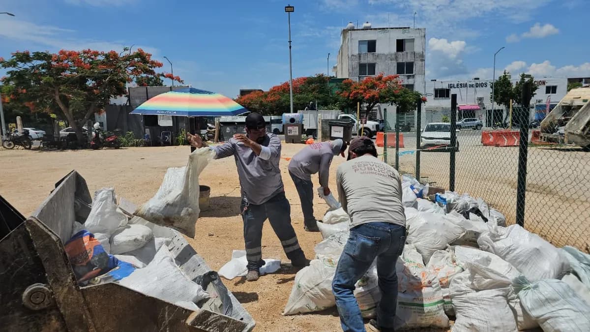 Playa del Carmen recolecta 25 toneladas de cacharros en agosto