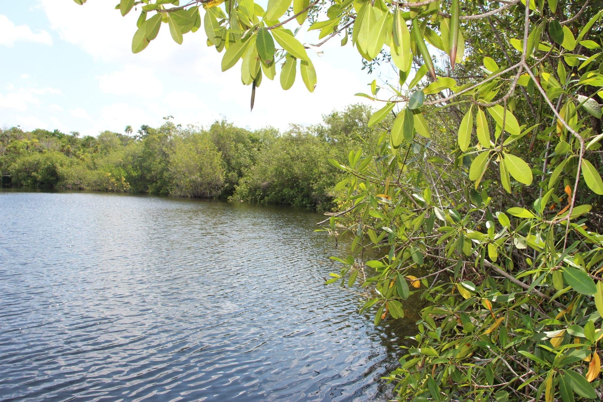 Uxuxubi: lugar en la Riviera Maya 'donde se viene silbando'