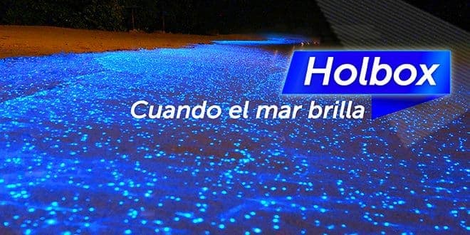 Holbox: Cuando el mar brilla