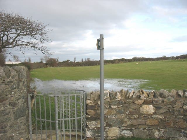 Campo inundado junto a una puerta de metal en una cerca de piedra, con árboles desnudos y cielo nublado de fondo.