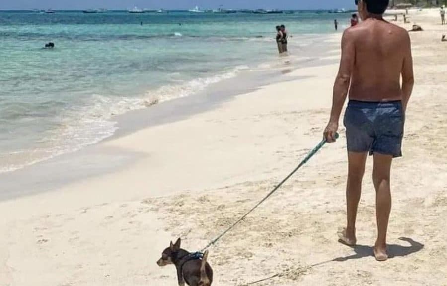 Persona caminando en la playa con un perro pequeño sujeto con correa, rodeado de bañistas y mar turquesa de fondo.