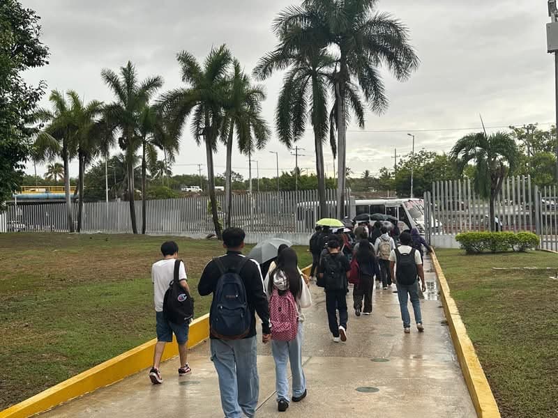 Grupo de estudiantes caminan por una acera mojada hacia una puerta de acceso escolar bajo árboles de palma durante un día nublado.