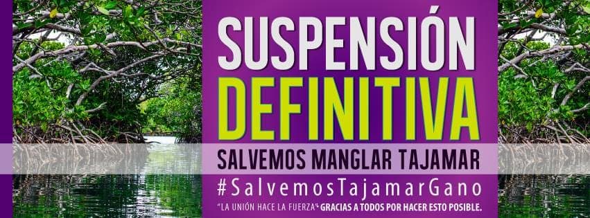 Dan suspensión definitiva a las obras en Manglar Tajamar