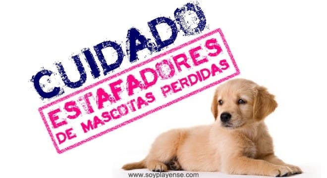 Redes Sociales: Estafan a dueños de mascotas perdidas