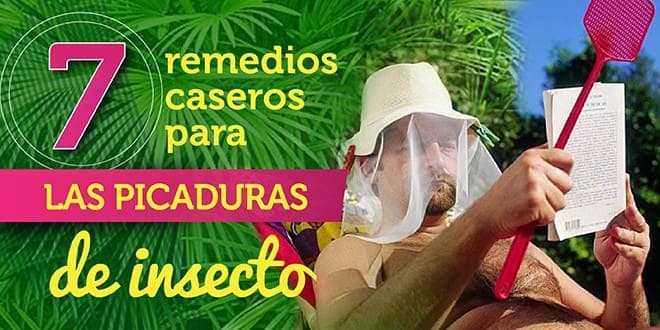 7 remedios caseros para las picaduras de insectos
