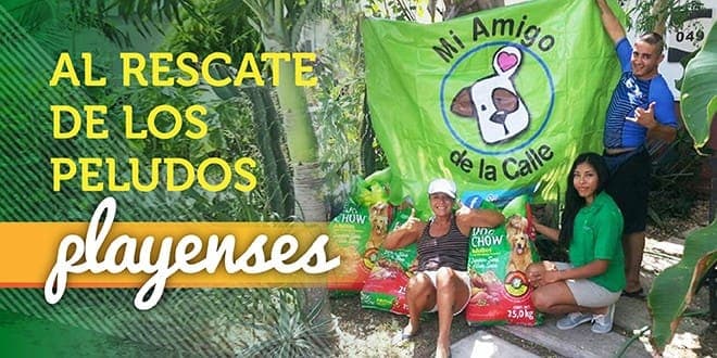 Donación de alimento para perritos rescatados Playenses