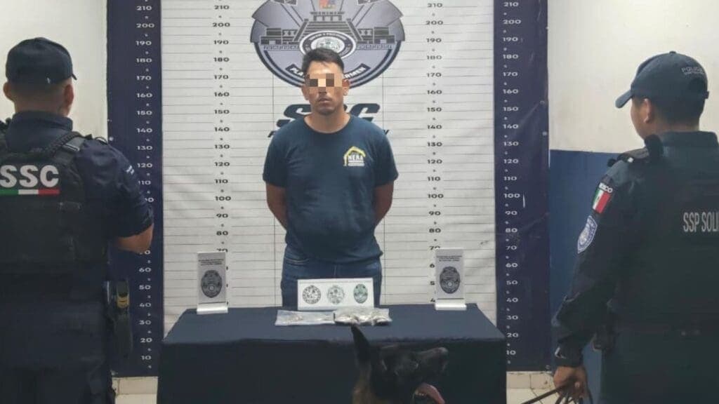 Detienen a presunto narcomenudista en posesión de marihuana en Playa del Carmen