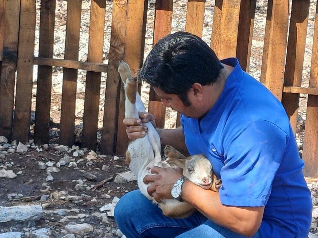 Gobierno de Estefanía Mercado lleva el programa “Veterinario en tu Rancho” a comunidades rurales