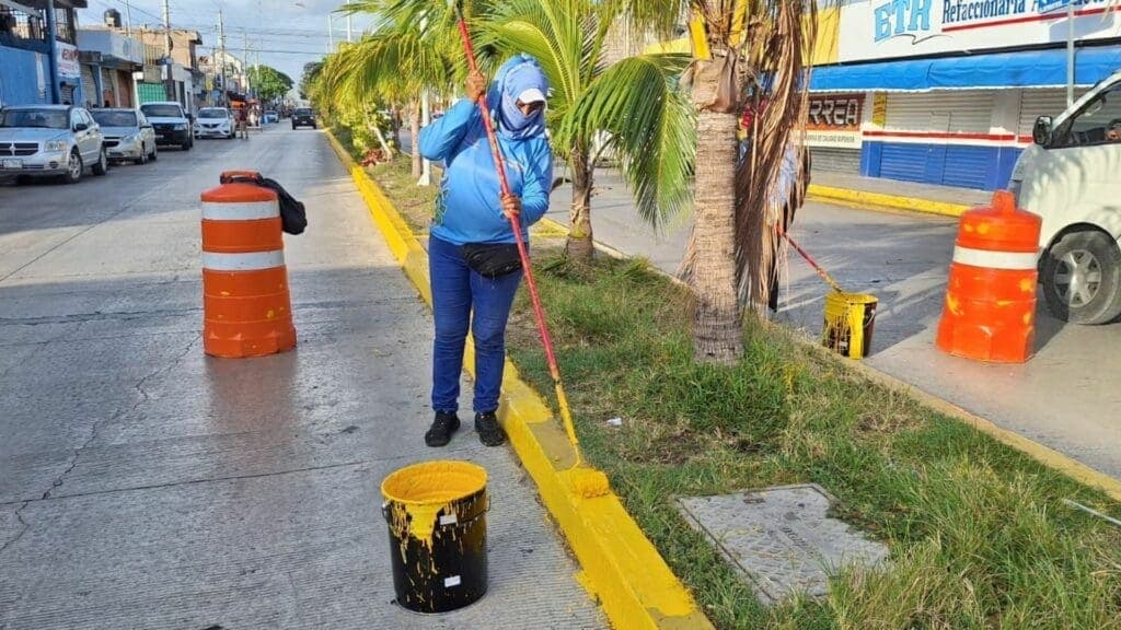 Gobierno de Solidaridad refuerza acciones de limpieza y reforestación