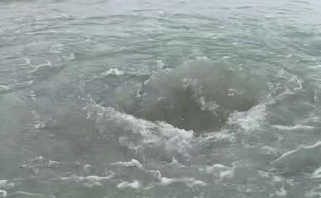 "Ojos de agua" podrían ser un nuevo atractivo turístico de Playa del Carmen