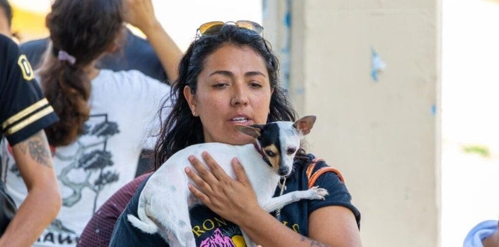 Refuerza Estefanía Mercado el bienestar animal en Playa del Carmen