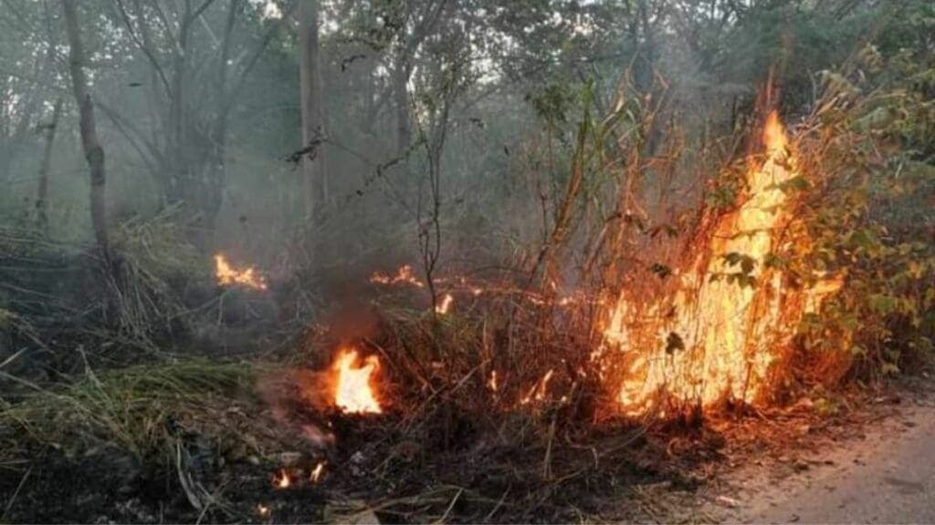 Van 40 reportes de incendios en Playa del Carmen en solo cuatro días