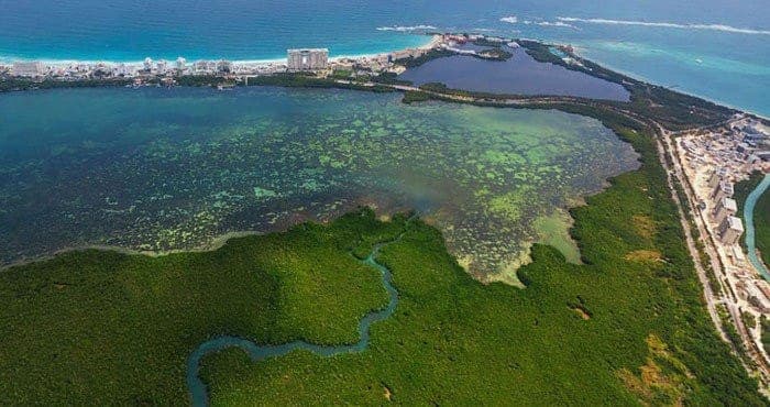 Nizuc en peligro. ¿Será el próximo caso de ecocidio en Q. Roo?