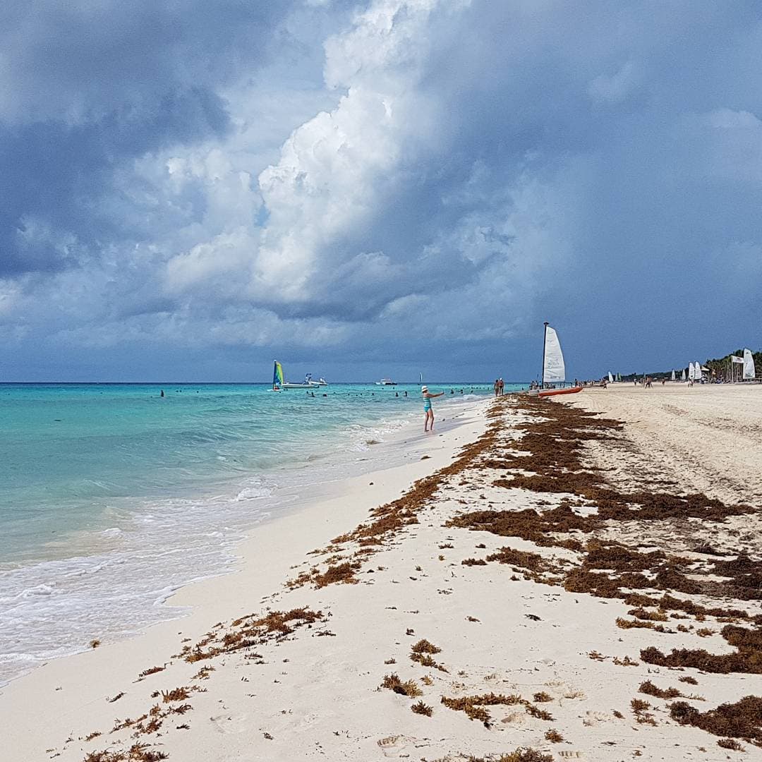 ¡Prepárense! Entrará "norte" y aumentará el frío en Quintana Roo y Yucatán