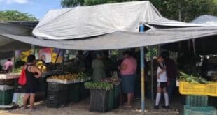 Ambulantes han invadido parques y hasta juegos infantiles en Villas del Sol; exigen su reubicación