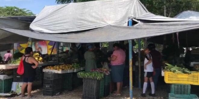 Ambulantes han invadido parques y hasta juegos infantiles en Villas del Sol; exigen su reubicación