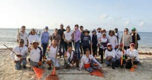 Amexme y el DIF responden al llamado del gobierno de Estefanía Mercado y se suman con todo al #RetoSargazo en Playa Pelícanos y Fundadores