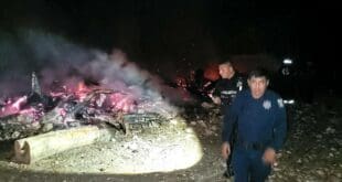 Aplacan incendio aparentemente provocado en Puerto Aventuras
