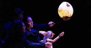 Arranca el Festival Internacional de Teatro de Playa del Carmen con exposición y obra de títeres