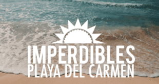 imperdibles de playa del carmen