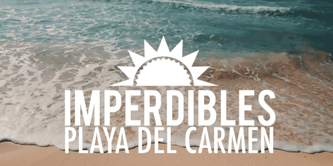 imperdibles de playa del carmen