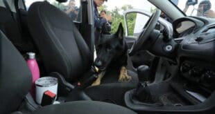 Con filtro de seguridad de El Tintal, Playa del Carmen quedará blindada: Lili Campos