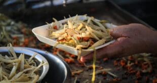 Concluye con gran éxito el Segundo Festival del Taco Playa del Carmen 2026