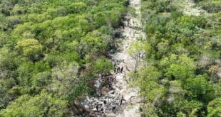 Confirman que incendio en InHouse fue intencional; pretendían invadirlo