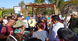 Congelan certificación Blue Flag para playa de la 72, a petición de comunidad que busca espacio 'pet friendly'