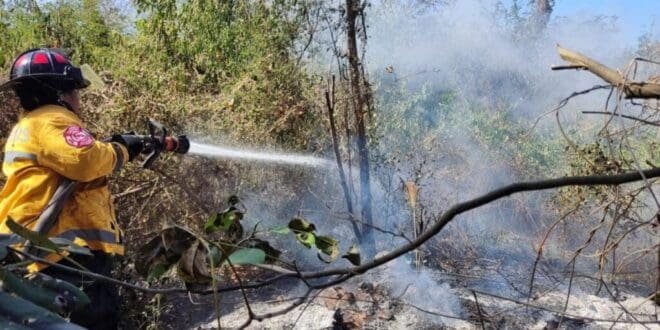 Controlan incendio en CTM y Lilis gracias a respuesta inmediata del Gobierno de Playa del Carmen