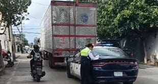 Derriba tráiler cableado en la colonia Gonzalo Guerrero de Playa del Carmen