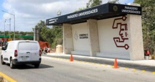 Dignifica Estefanía Mercado paraderos de transporte público de Playa del Carmen