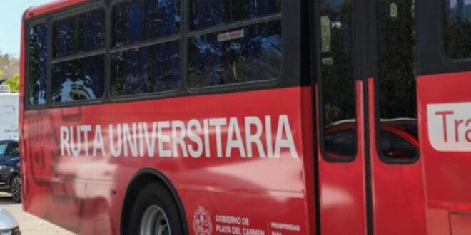 Estefanía Mercado anuncia “Ruta Universitaria: Transporte sin tanto choro” para garantizar movilidad gratuita a más de mil 700 estudiantes en Playa del Carmen