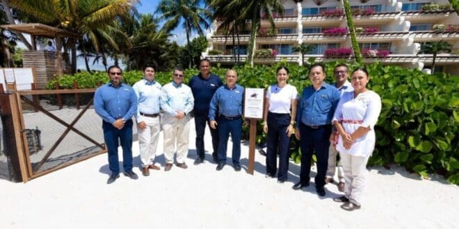 Estefanía Mercado refuerza la protección de tortugas marinas en el arranque de la temporada de anidación