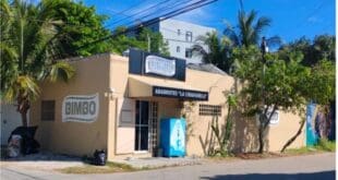 Estefanía Mercado suma a empresarios a la construcción de la identidad de Playa del Carmen con el color Arena Playa