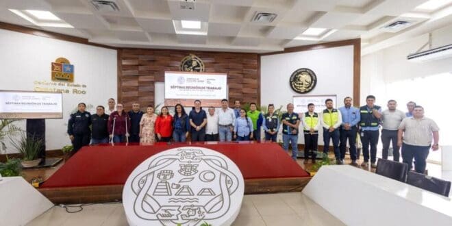 Gobierno de Playa del Carmen alerta sobre red de empresas clandestinas colgadas en postes de telefonía, electricidad y alumbrado público