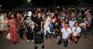 Gobierno de Playa del Carmen celebra con éxito la primera edición del "Dog Beach Festival"