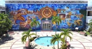 Gobierno de Playa del Carmen presenta exposición de arte "(a) Cortando Bordes"