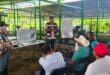 Gobierno de Playa del Carmen promueve el uso del sargazo para fortalecer la producción ganadera