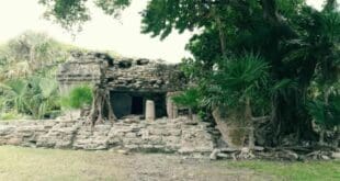 Guías deben inscribirse en el Registro Estatal de Turismo: Sedetur