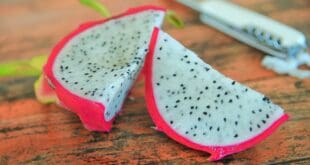 Habrá muestra gastronómica con platillos y bebidas con pitahaya este 16 de septiembre en Playa del Carmen