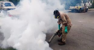 Incrementan casos de dengue en Playa del Carmen por presencia de cacharros, advierten