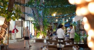 La Quinta Avenida de Playa del Carmen será el punto de reunión de locales y turistas para la cena del 24 de diciembre