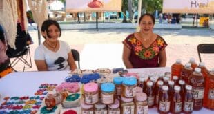 “Lágrimas de Oro Maya”, un espacio para reconocer el valor de la actividad apícola en Quintana Roo
